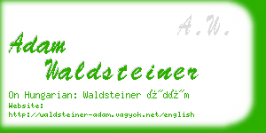 adam waldsteiner business card